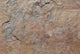 Pink Leather Sandstone, Natural Cleft Face/Back Finish, 16"x16", Set of 384