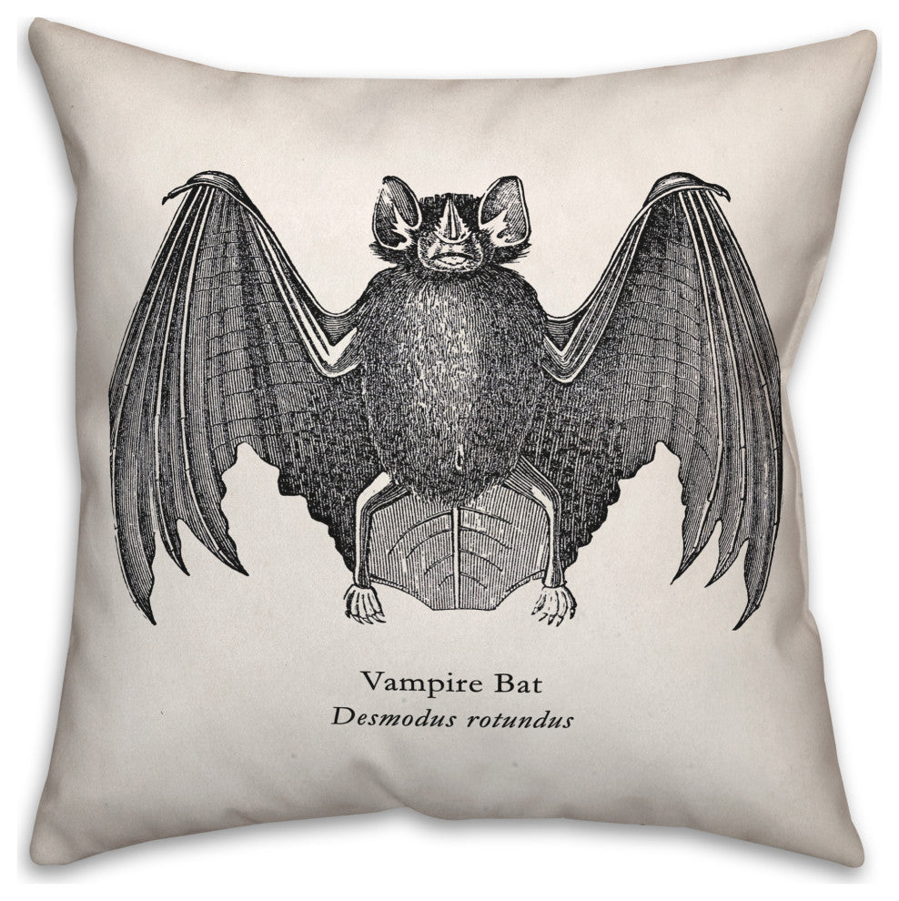 Scientific Bat 16x16 Throw Pillow