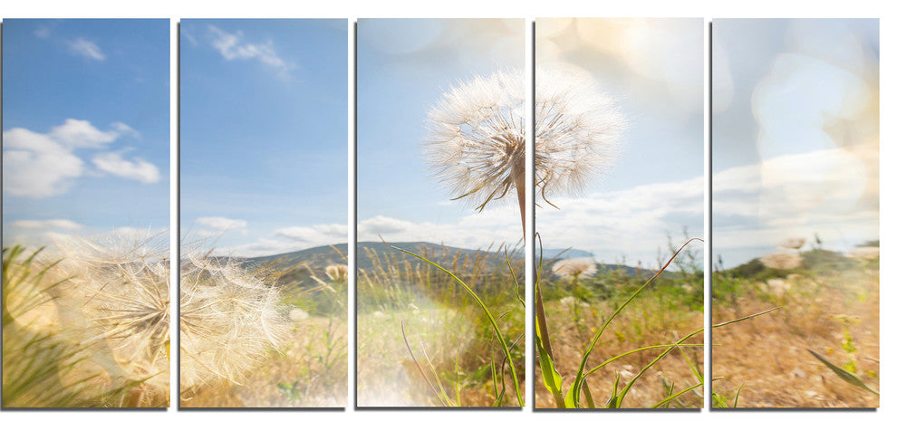 Blooming Dandelion under Bright Sky, Floral Canvas Art Print, 60"x28", 5 Panels