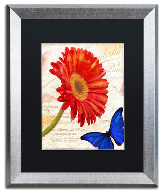 Color Bakery 'Gerbera Daisy' Art, Silver Frame, Black Matte, 16"x20"