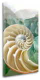 "Crystal Cove - 27" By Alan Blaustein, Giclee Print on Gallery Wrap Canvas