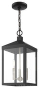 Livex Nyack 3 Light Black/Brushed Nickel Cluster Medium Outdoor Pendant Lantern
