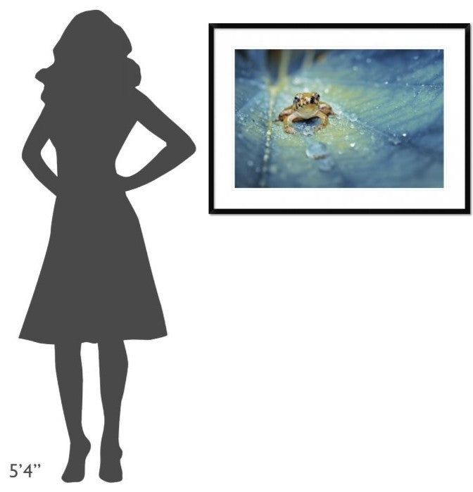 "Crystal Guard" Framed Digital Print by Robby Fakhriannur, 38"x28"