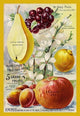 5 Grand Fruits- Fine Art Giclee Print 24" x 36"