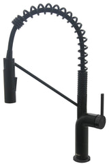 STYLISH Single Handle Pull-Down Dual Mode Kitchen Faucet, Matte Black