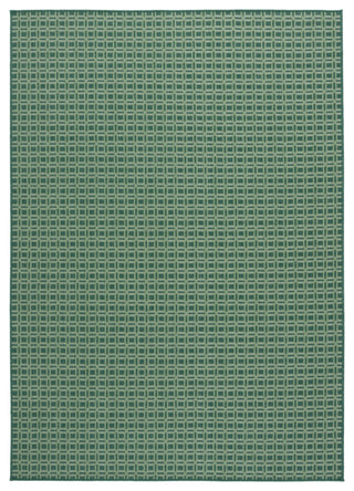 Safavieh Terrace Collection TER808 Rug, Dark Green/Light Green, 9'x12'