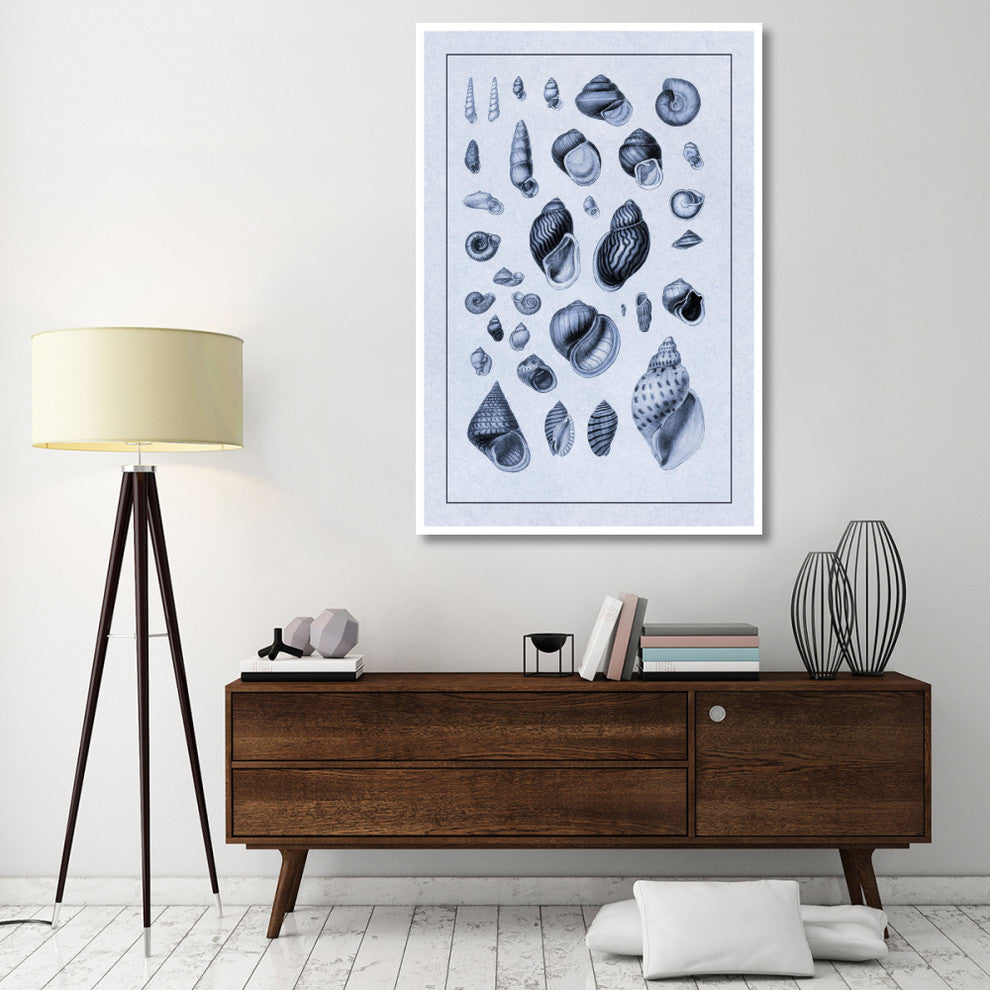 "Shells: Sessile Cirripedes #2 (Blue)" Paper Print by G.B. Sowerby, 42"x62"