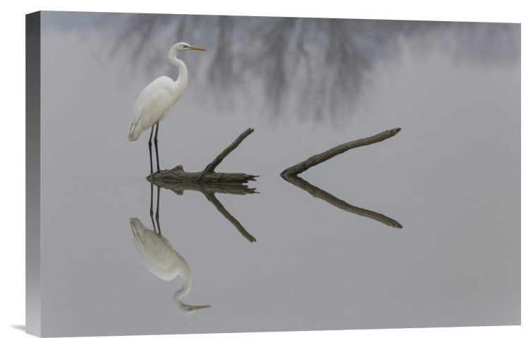 "Reflections" Stretched Canvas Giclee by Mauro Montuori, 18x12"
