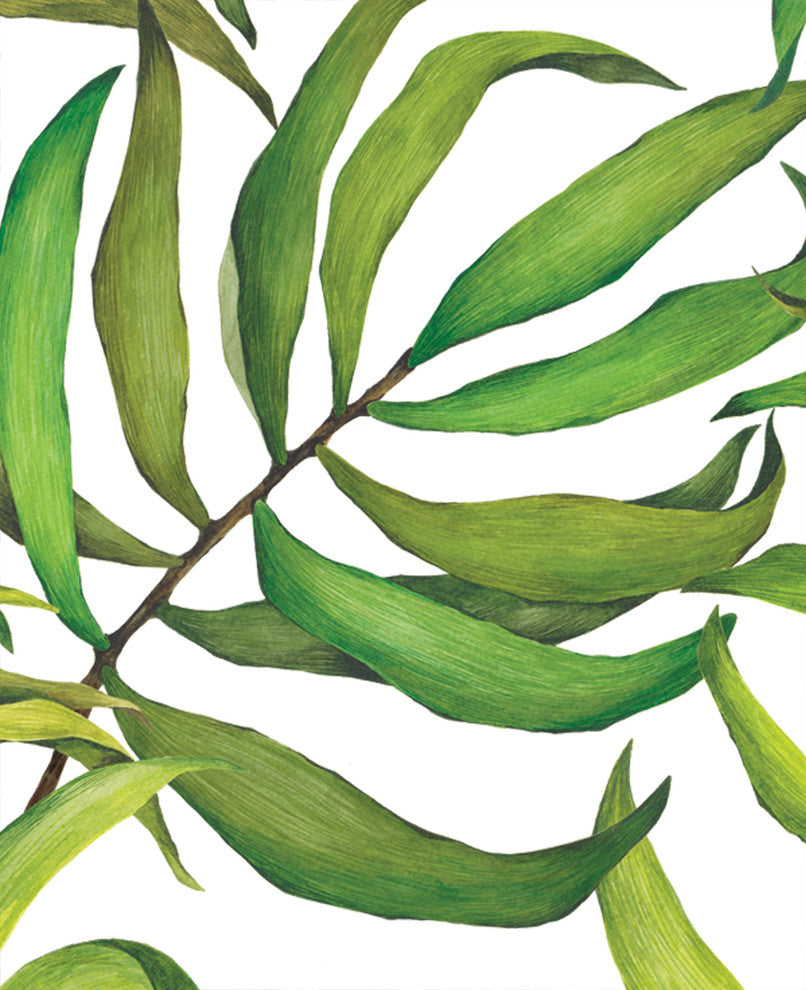 Tropical Leaves Large Peel and Stick Vinyl Wallpaper, 4 Pk - 24"w X 60"h