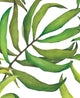 Tropical Leaves Large Peel and Stick Vinyl Wallpaper, 4 Pk - 24"w X 60"h