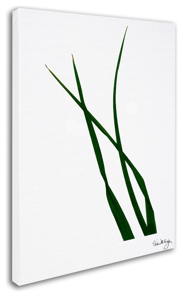 ''Reeds'' Canvas Art by Kathie McCurdy