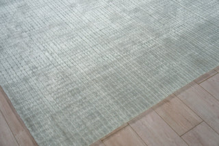 Cabrini Modern Handloomed Silky Nylon Light Silver Area Rug, 8'x10'