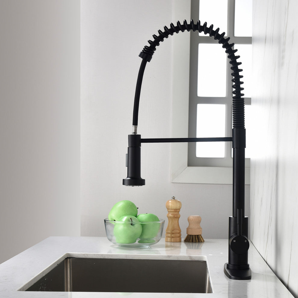 Wellfor Single Handle Kitchen Sink Faucet With Pull Down Sprayer