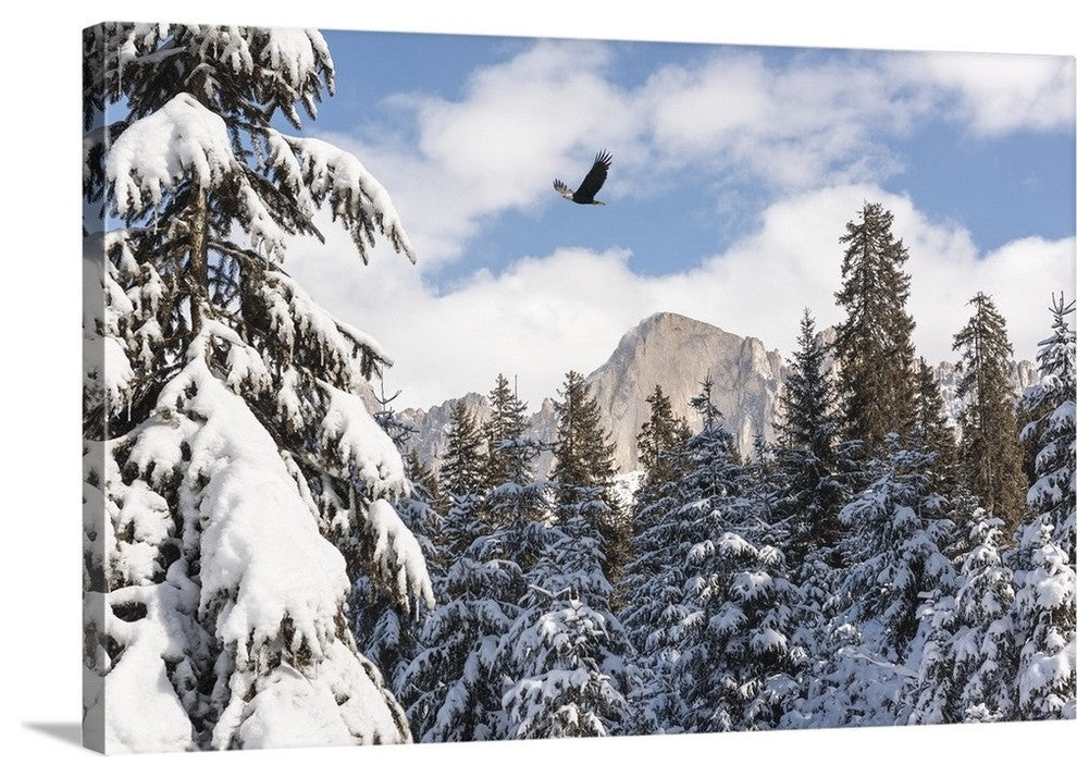"Free as a Bird" Wrapped Canvas Art Print, 36"x24"x1.5"