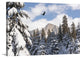 "Free as a Bird" Wrapped Canvas Art Print, 36"x24"x1.5"