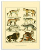 Big Cats Wildlife Illustration Oversized Wall Plaque Art, 13"x19"
