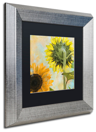Color Bakery 'Soleil II' Matted Framed Art, Silver Frame, Black Mat, 11x11