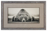 Uttermost Deep Sleep Bear Print