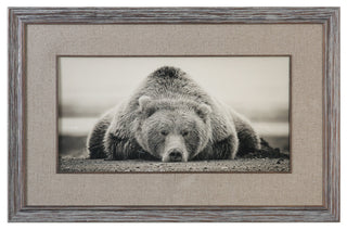 Uttermost Deep Sleep Bear Print