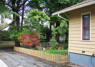 Bamboo Picket Fence, 24"