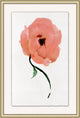 Petal Pink 2, Giclee Reproduction Artwork