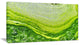 Polluted Water With Algae in Green, Large Abstract Canvas Artwork, 32"x16"