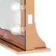 Hollywood Reflection Plus Vanity Mirror, Rose Gold, Clear Led Globe Bulbs