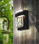Madrona LED Outdoor Wall Sconce Clear Water, Black