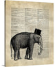 Vintage Dictionary Art: Elephant Wrapped Canvas Art Print, 16"x20"x1.5"