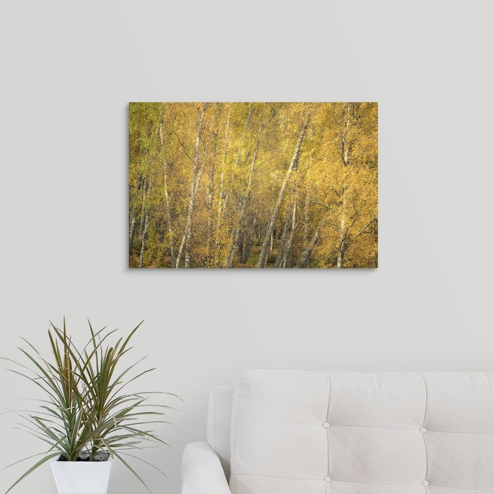 "Flakes of Gold" Wrapped Canvas Art Print, 24"x16"x1.5"