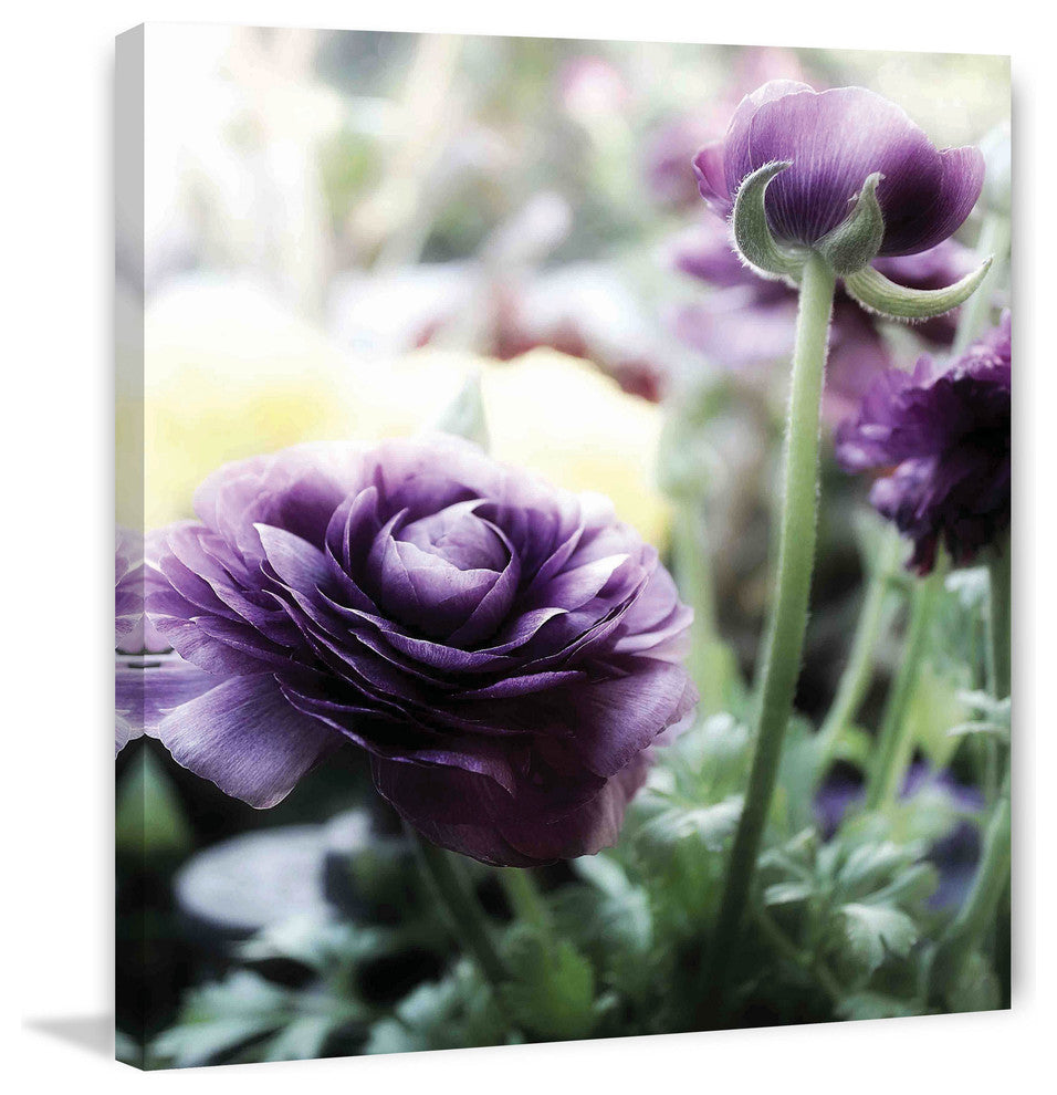 "Floral Melody III" Painting Print on Canvas by Irena Orlov