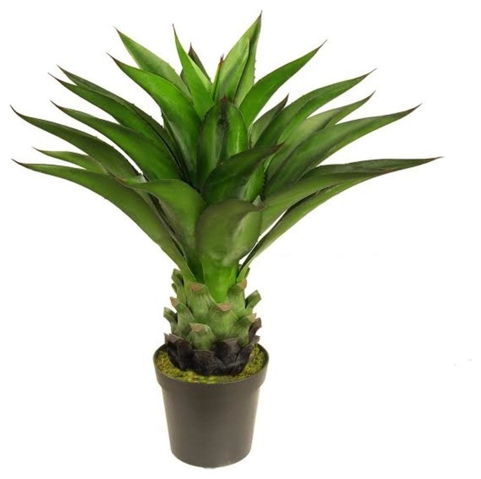 30.5" Decorative Potted Artificial Green Agave Americana Succulent Plant