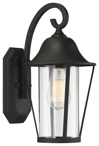 1-Light Exterior Wall Sconce, Black