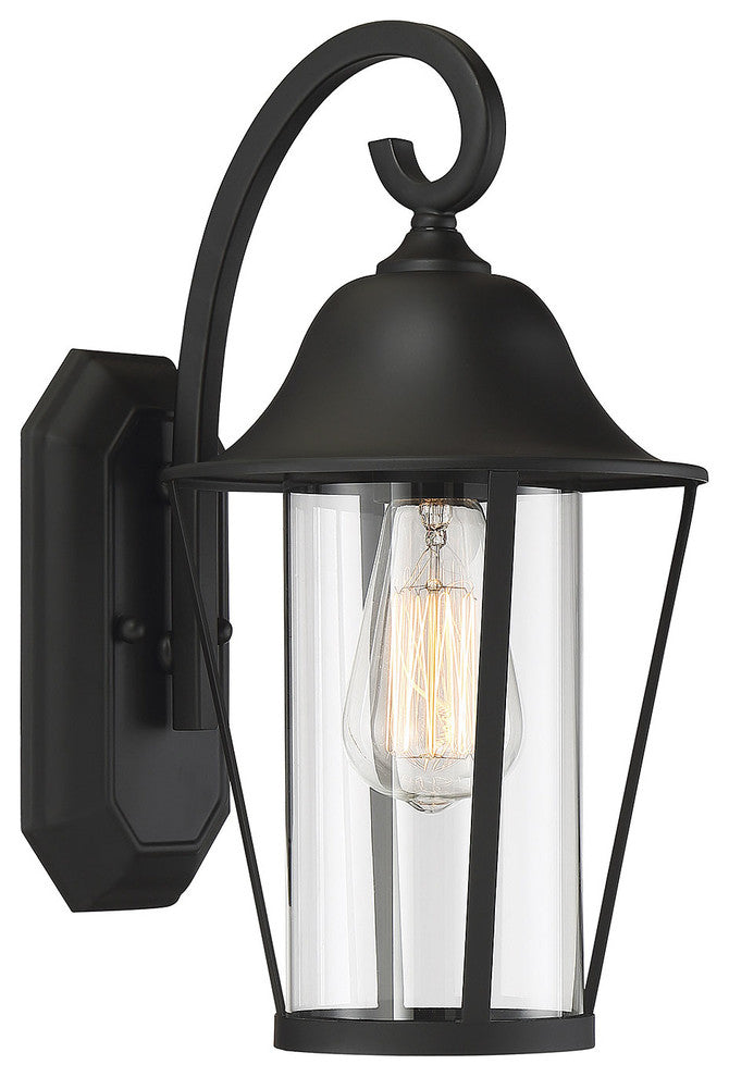 1-Light Exterior Wall Sconce, Black