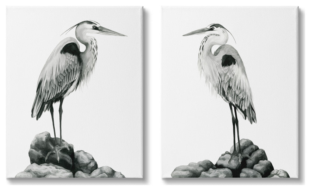Great Herons Standing Rocks Black White Bird Portraits,24 x 30
