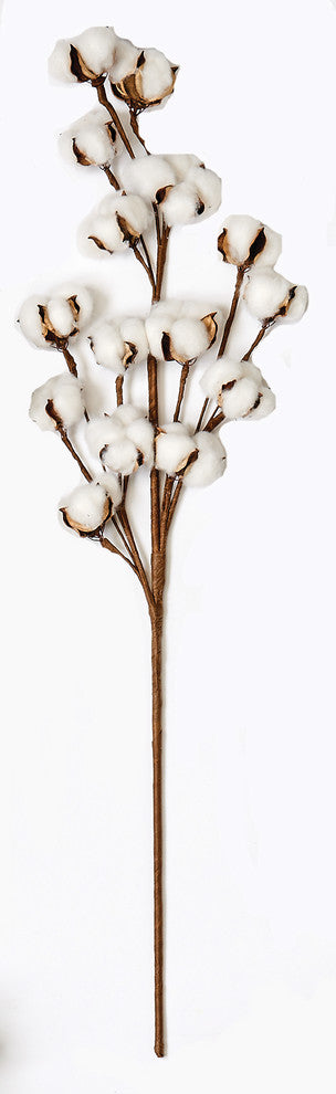 Cotton Spray, Set of 2, 30"
