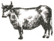 "Farm Animal Icons IV" Digital Paper Print by Sue Schlabach, 38"x38"