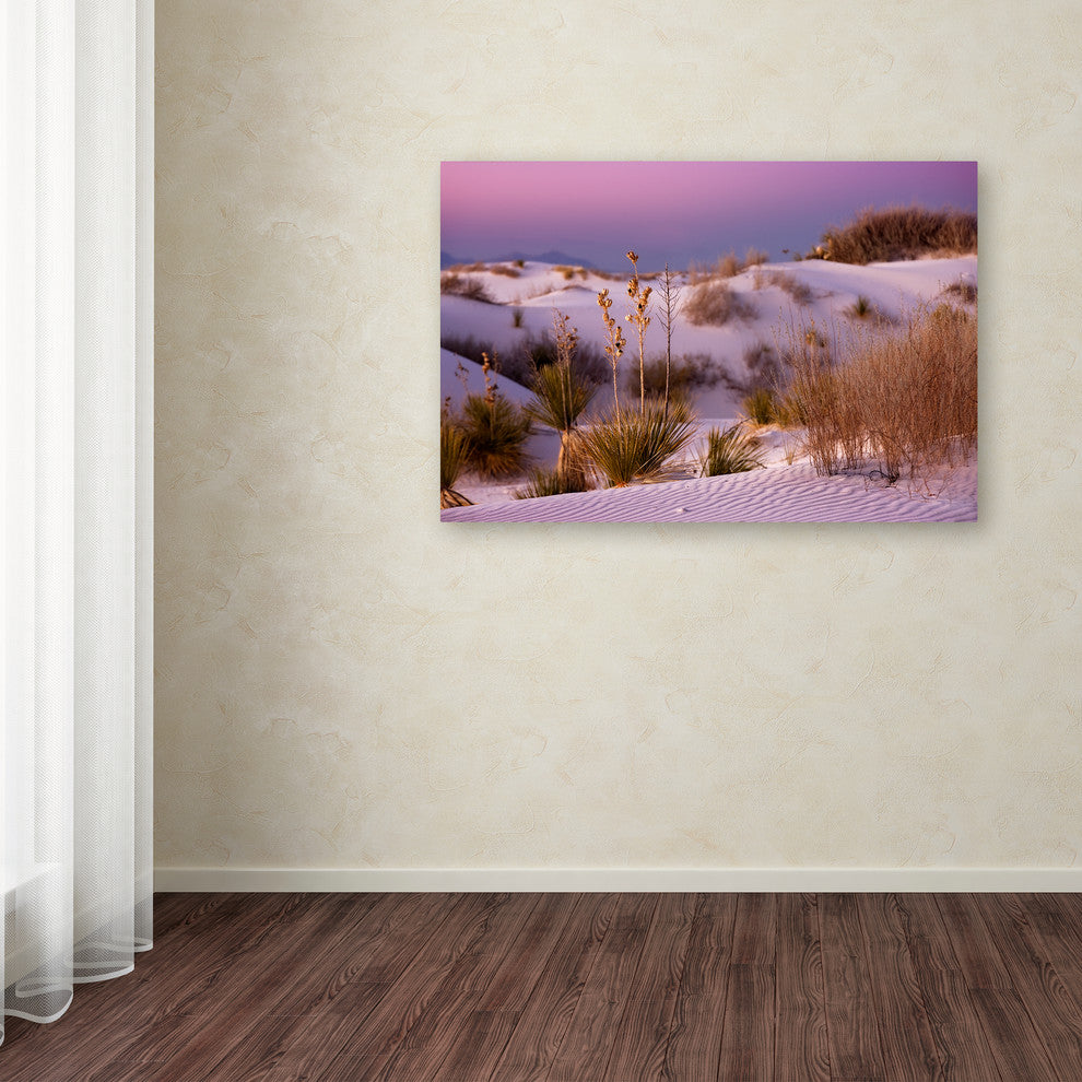 Mike Jones Photo 'White Sands Dusk' Canvas Art, 30x47