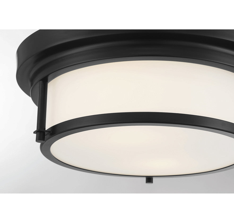 2-Light Ceiling Light, Matte Black