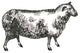 "Farm Animal Icons I" Digital Paper Print by Sue Schlabach, 42"x42"