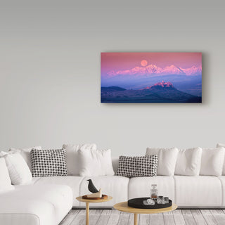 Marian Kmet 'Sepia Fairy Tale' Canvas Art, 32"x16"