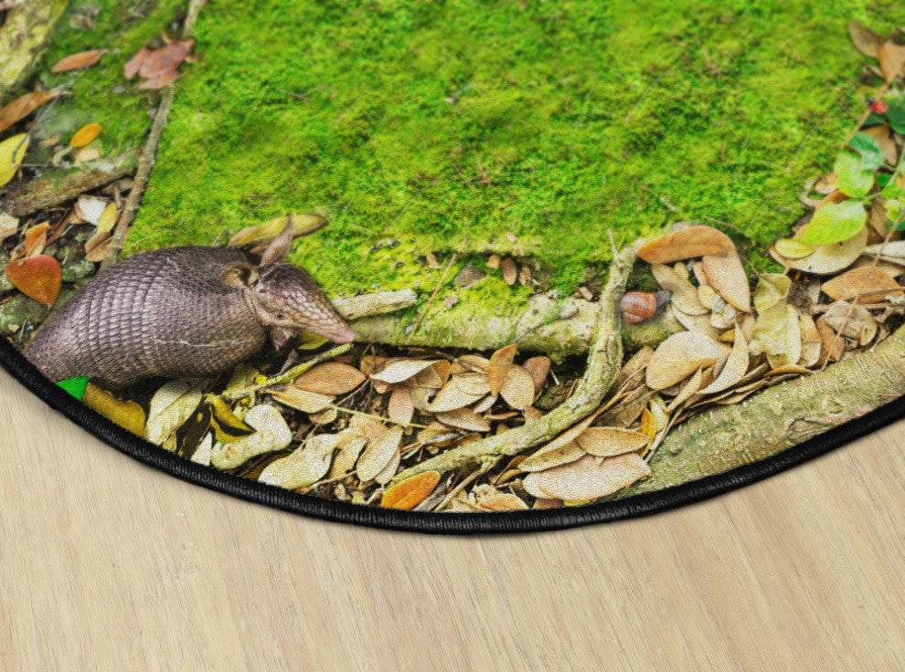 Flagship Carpets VA1005-71FS 12' Round Forest Floor Seating Educational Rug