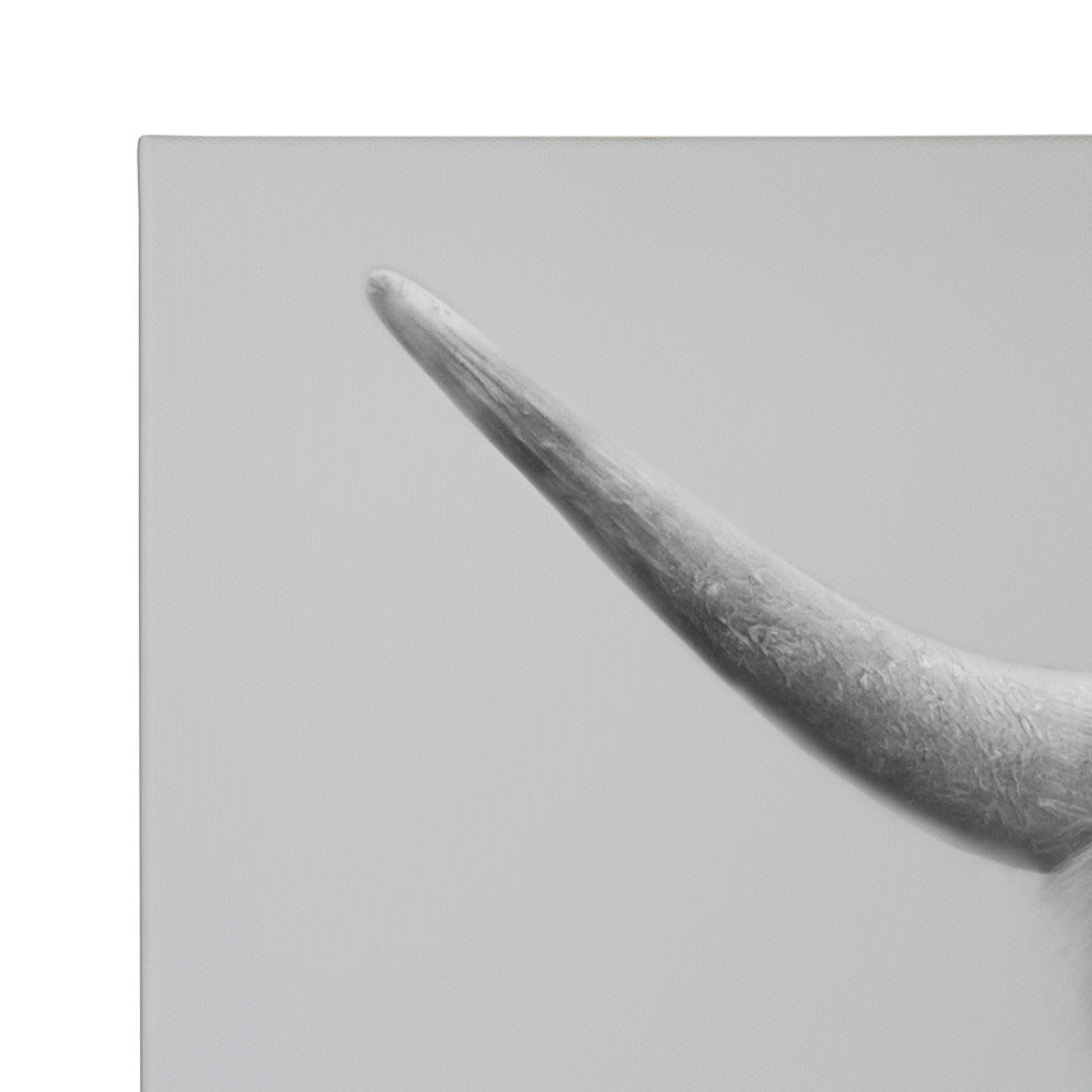 Hey Dude Cow Gray Canvas by The Creative Bunch Studio, Assorted 2 Piece 20x20