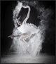 "F L Y" Framed Canvas Giclee by Yudhistira Yogasara, 32x37"