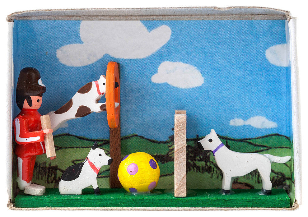 Dregeno Matchbox- Dog School