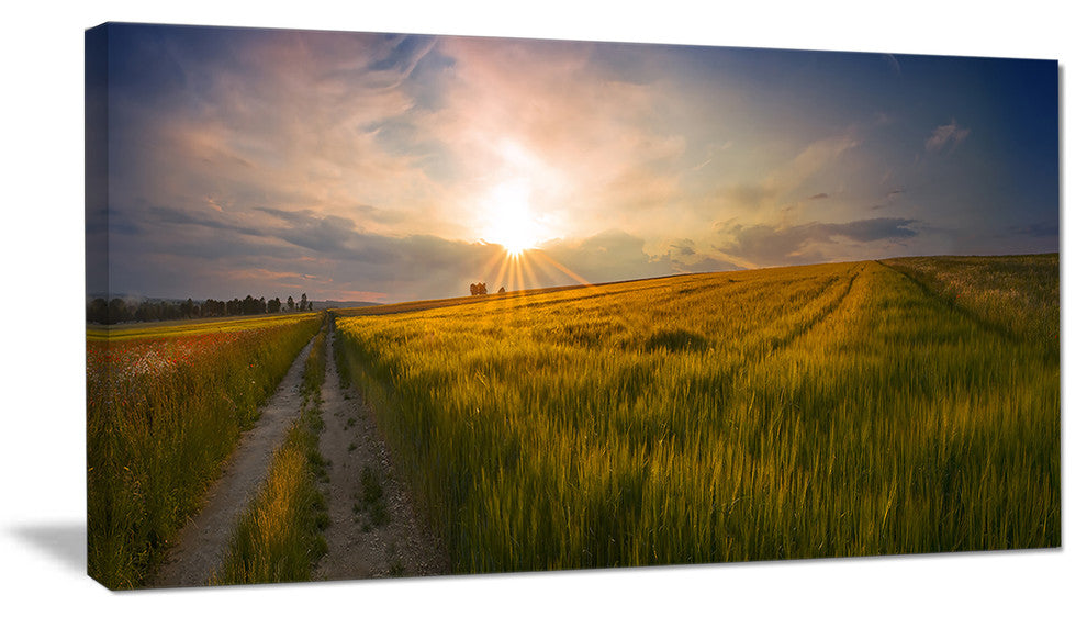 Sunset in Field of Grain Panorama, Landscape Canvas Art Print, 32"x16"