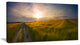 Sunset in Field of Grain Panorama, Landscape Canvas Art Print, 32"x16"