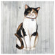 "Country Kitty III on Wood" Digital Paper Print by David Carter Brown, 20"x20"