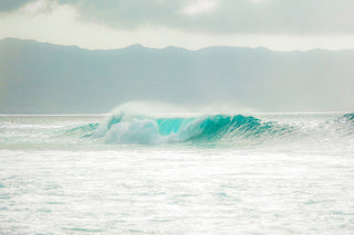 "Ice Bath" Painting Print on Wrapped Canvas