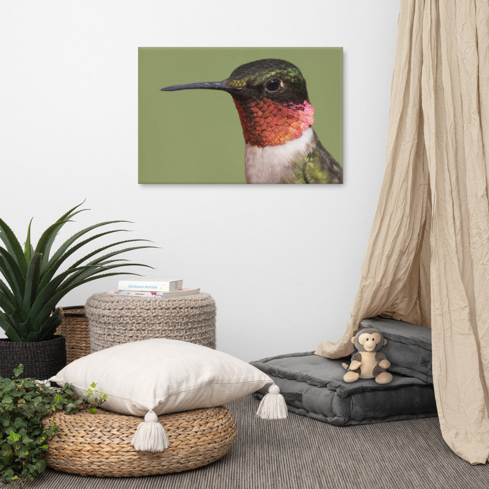 Close-up Ruby-throated Hummingbird Wildlife Photograph Canvas Wall Art Print, 24" X 36"